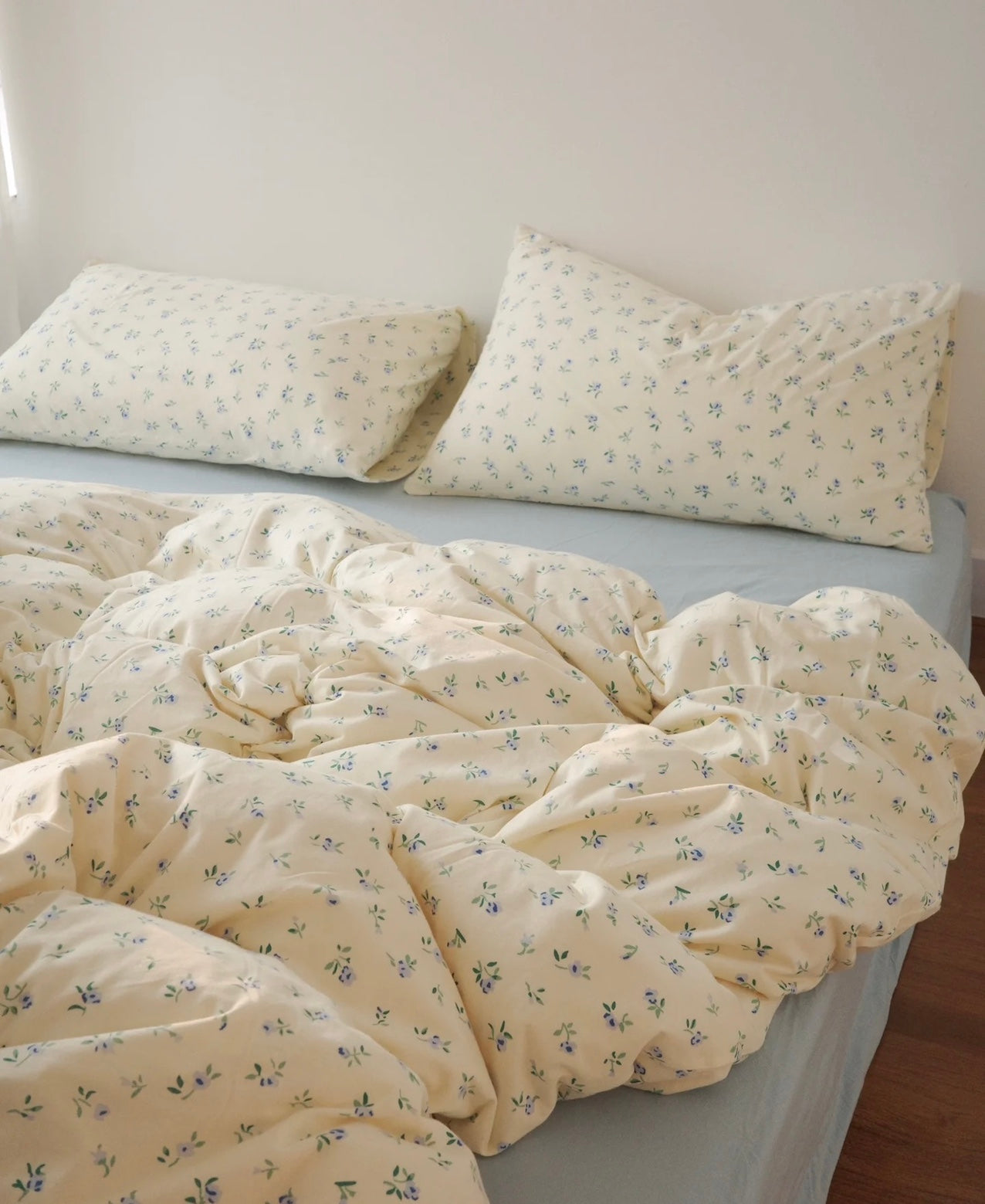 Baby Blue Duvet Cover Set