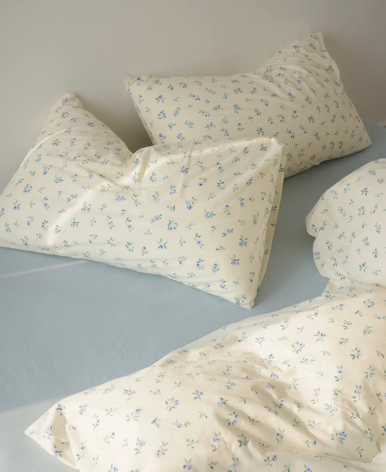 Baby Blue Duvet Cover Set