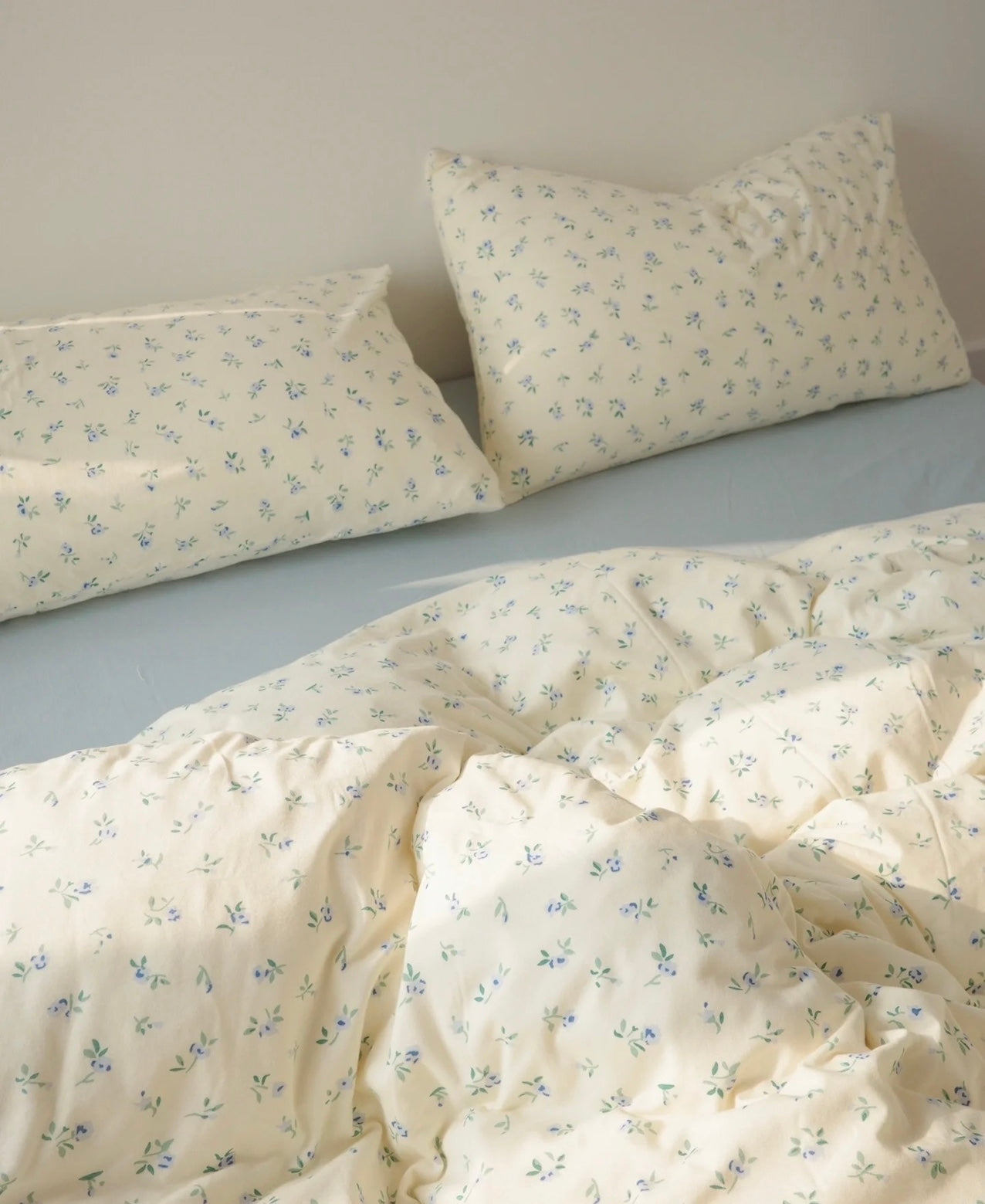 Baby Blue Duvet Cover Set